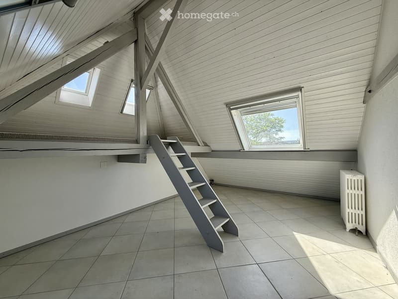 Appartement sous les toits avec accès jardin (2)