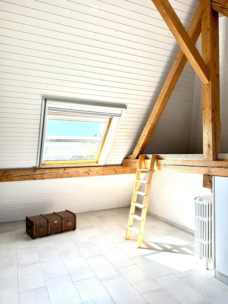 Appartement sous les toits avec accès jardin (4)