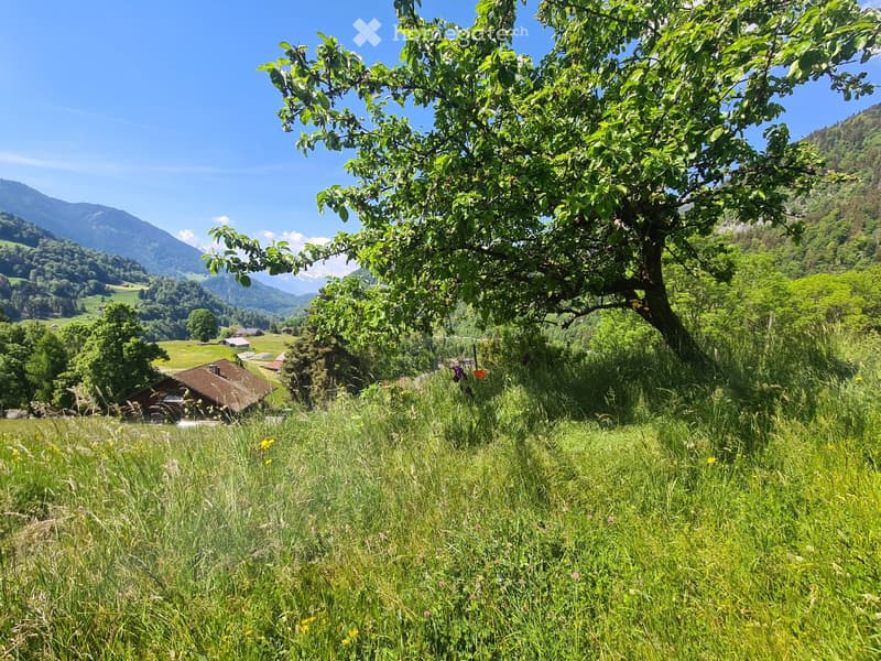 À LOUER  APPARTEMENT MEUBLÉ RÉNOVÉ  ALPES VAUDOISES (5)