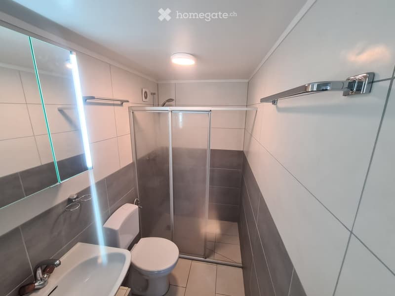 À LOUER  APPARTEMENT MEUBLÉ RÉNOVÉ  ALPES VAUDOISES (4)