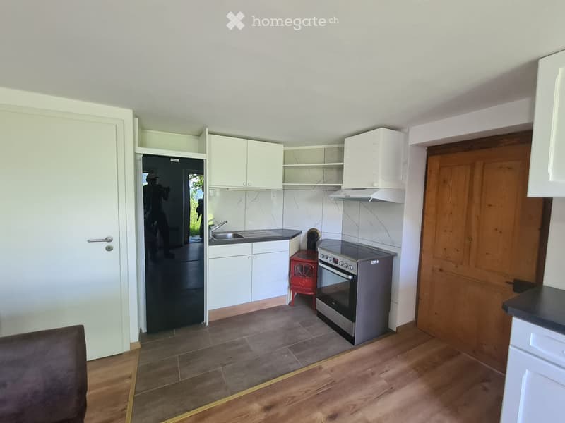 À LOUER  APPARTEMENT MEUBLÉ RÉNOVÉ  ALPES VAUDOISES (3)