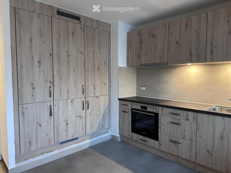 Grand appartement 5 pièces entièrement rénové (2)