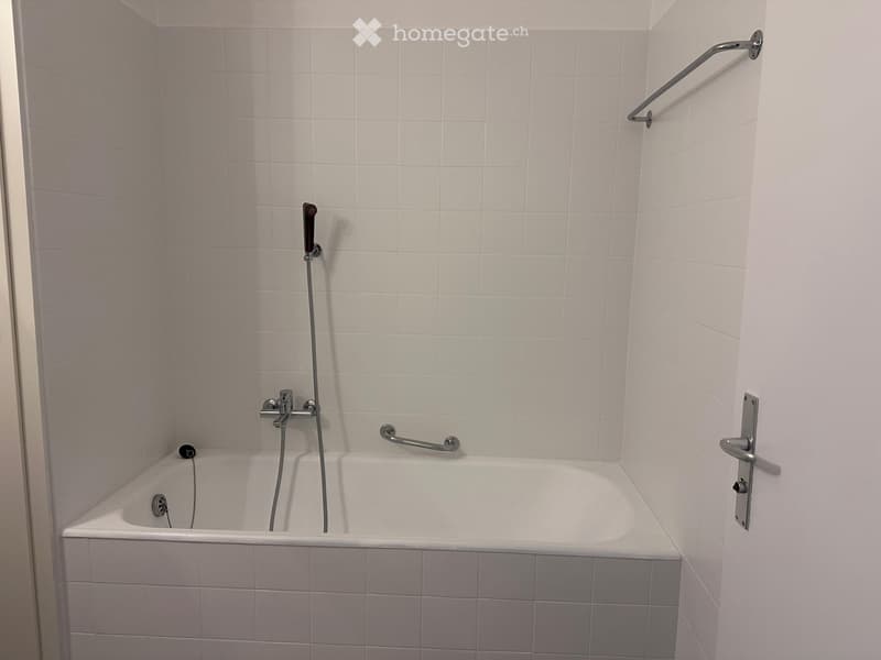 Grand appartement 5 pièces entièrement rénové (3)