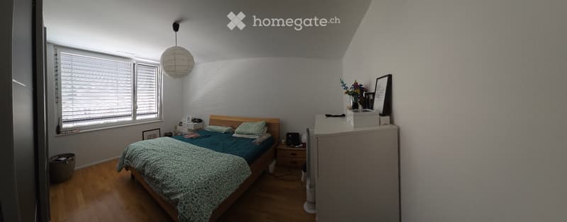 Bel appartement de 3.5 pces avec grand balcon (1)