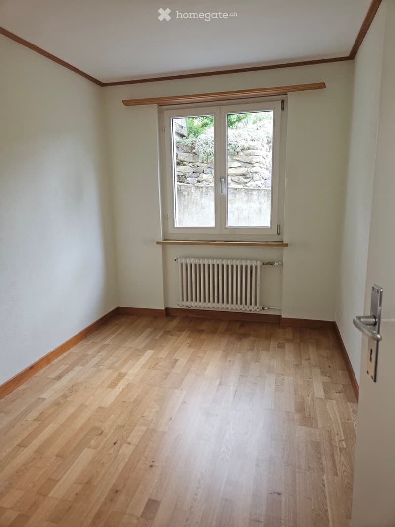 Wohnen mit fantastischer Aus- und Weitsicht bis zum Untersee (5)