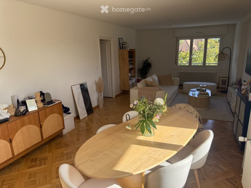 Appartement 4 pièces avec vue PLACE FAVRE (3)