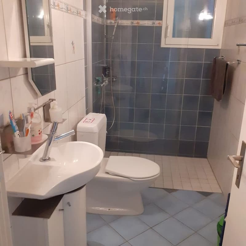 Petite chambre au rez d'une maison familiale, bord du lac (4)