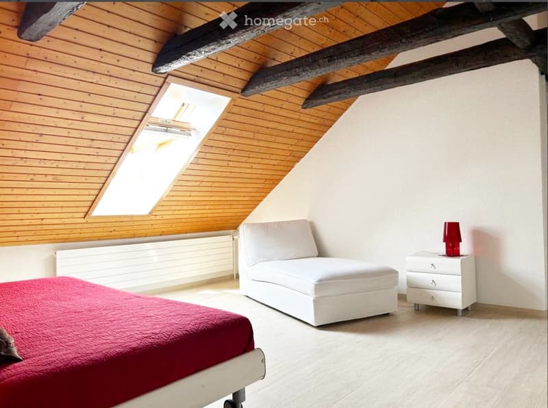 Appartement spacieux dans maison avec cachet à colombier (3)
