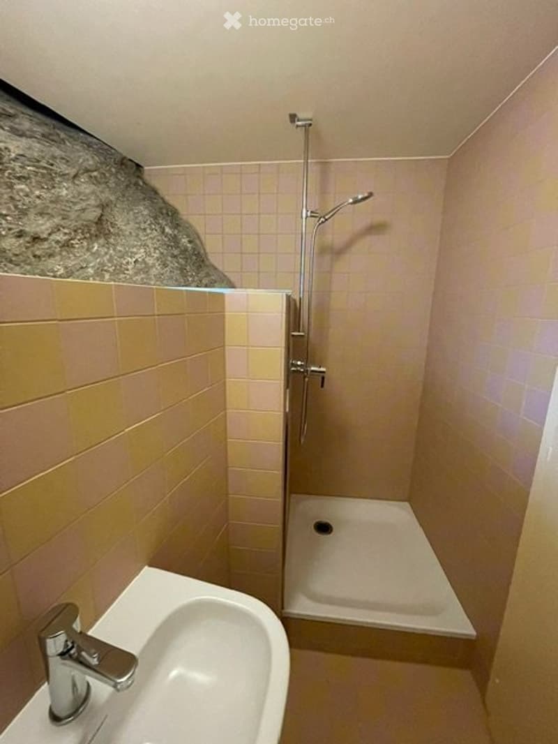 Einfamilienhaus im Grünen (4)