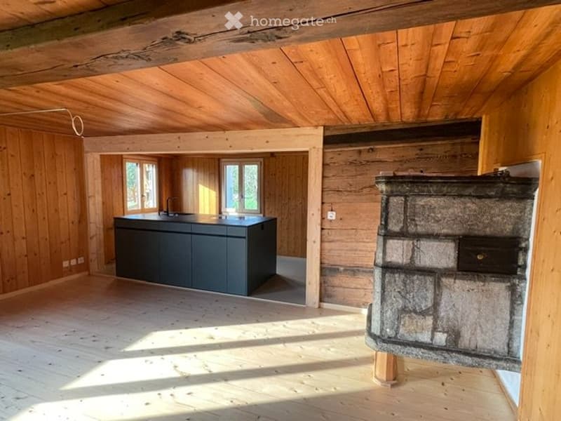 Einfamilienhaus im Grünen (2)
