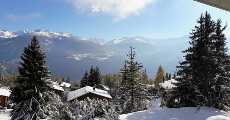 Location hiver - 3,5 pièces avec vue panoramique à Anzère (1)