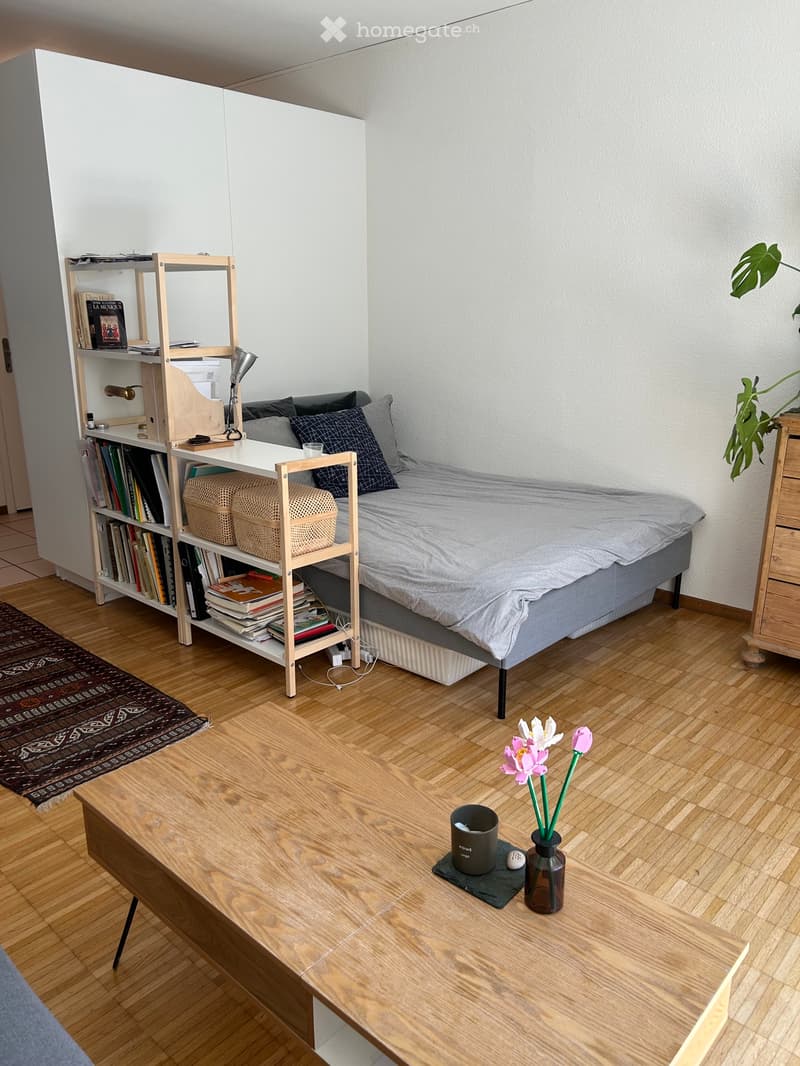 Studio spacieux avec terrasse (5)