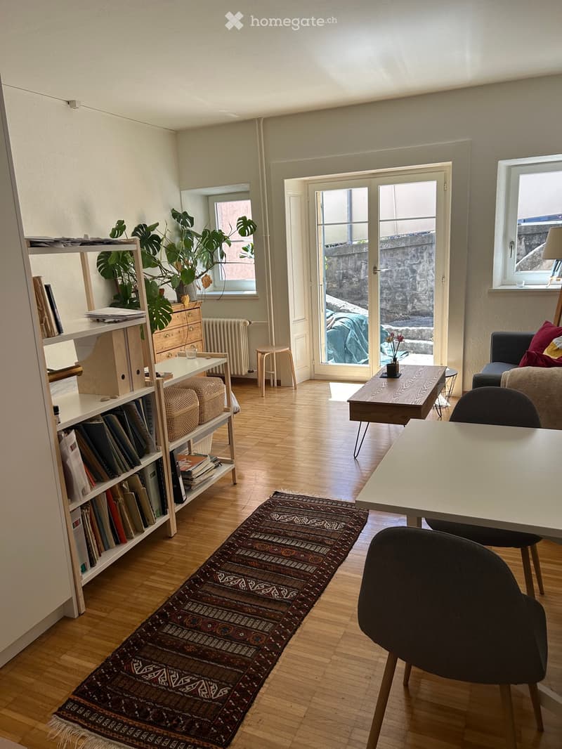 Studio spacieux avec terrasse (1)