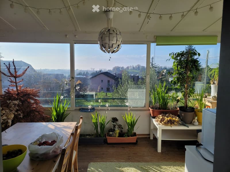 Appartement avec balcon, meublé en sous-location (3)