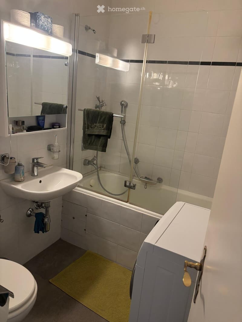 Appartement a louer CHAMPEL (5)