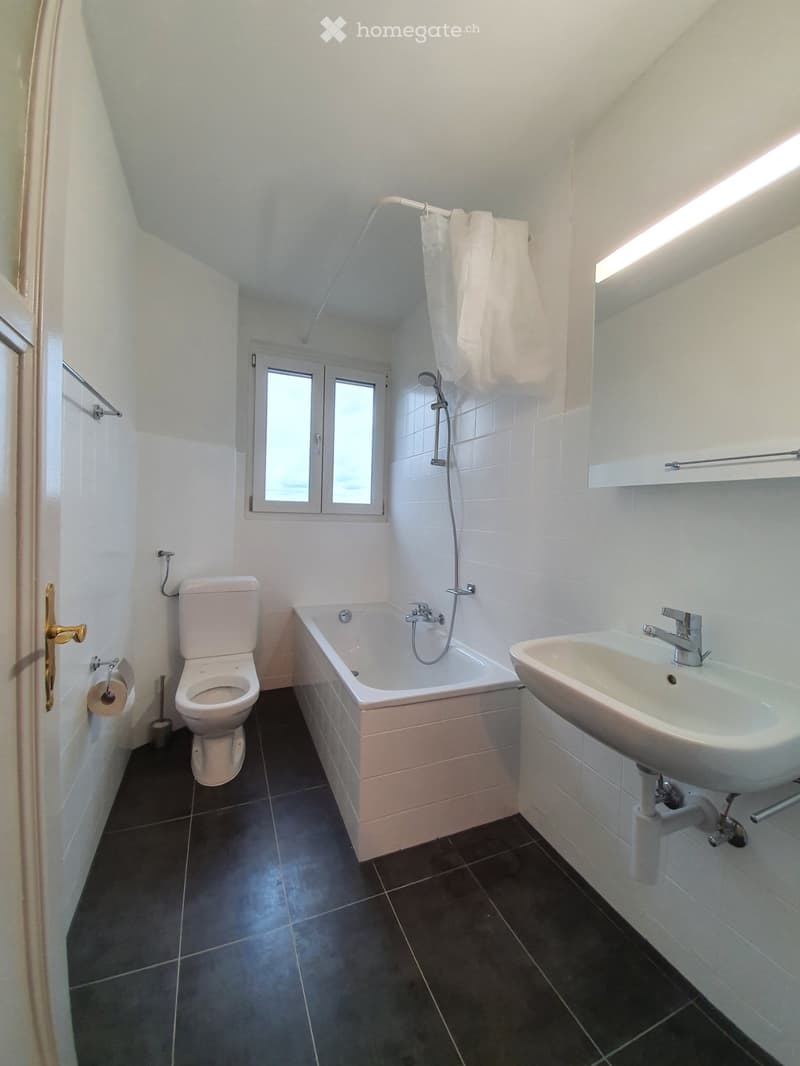 Vue lac exceptionnelle  56m² (2)