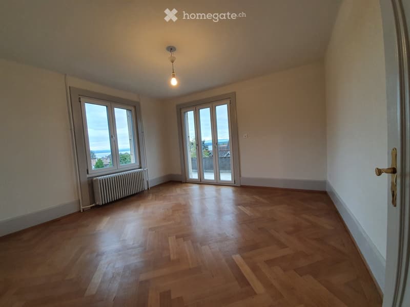 Vue lac exceptionnelle  56m² (3)