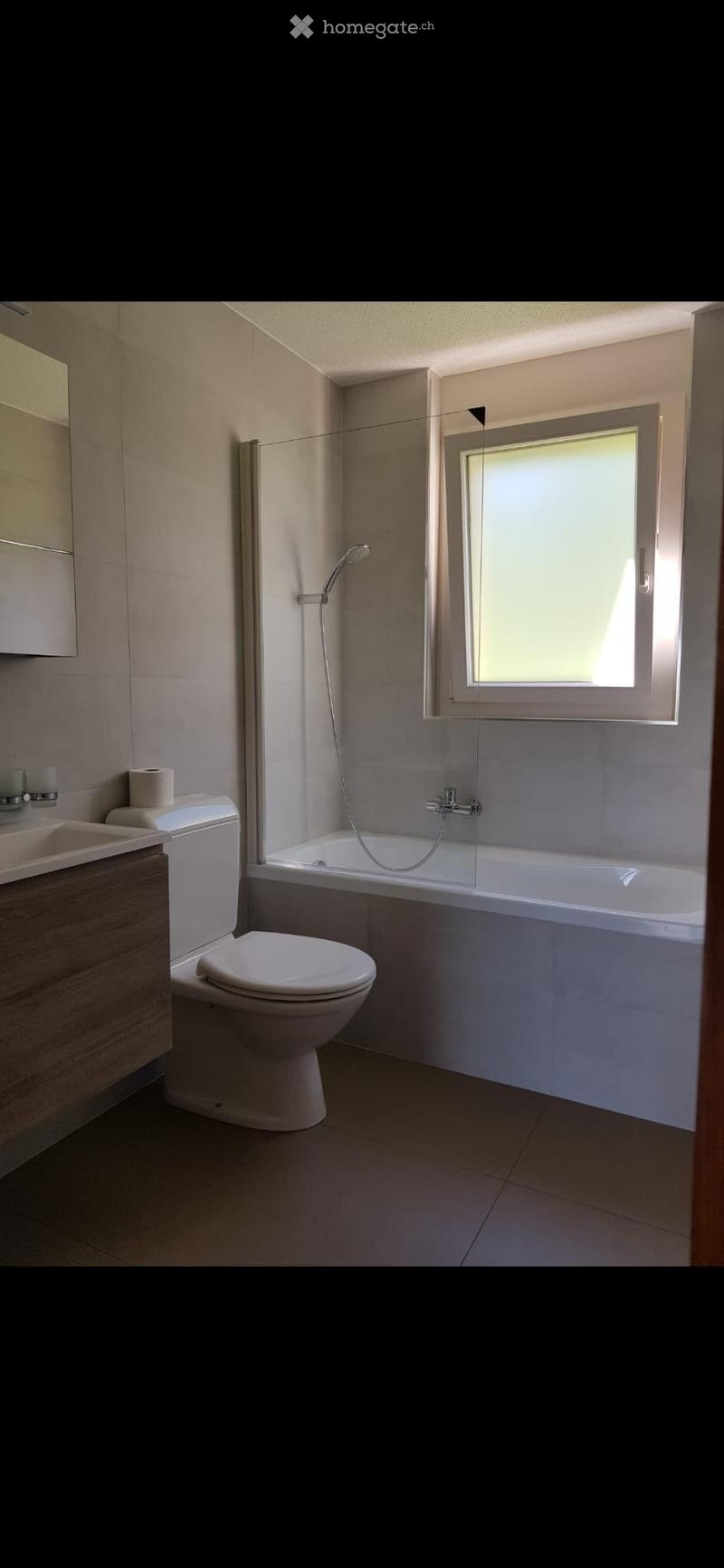 Charmant 3.5 pces avec grande terrasse à louer à Savièse (4)