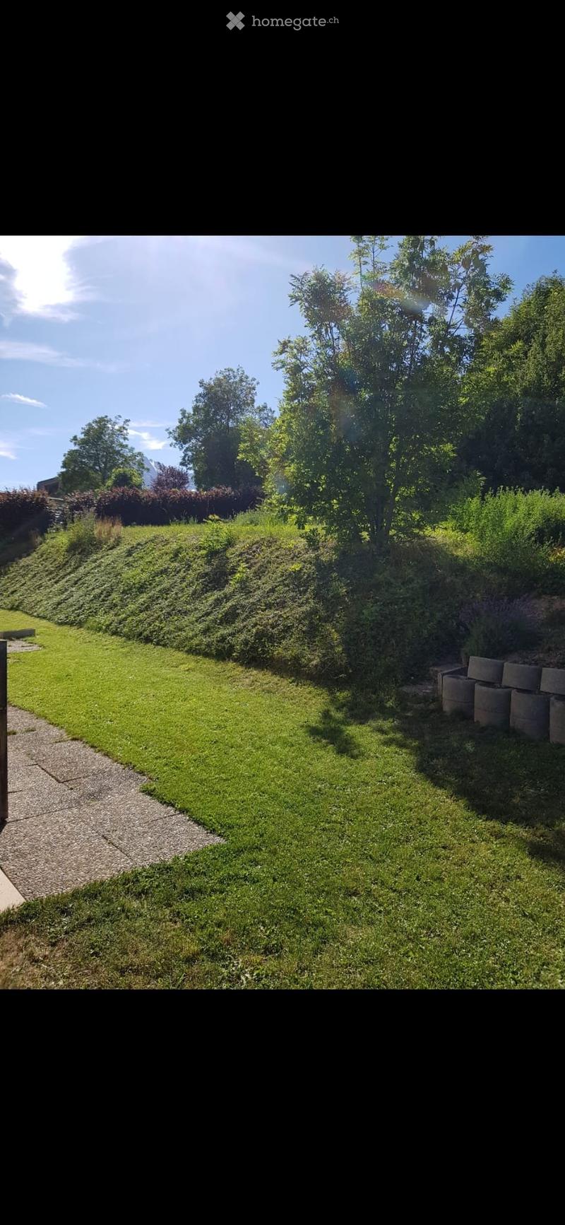 Charmant 3.5 pces avec grande terrasse à louer à Savièse (1)