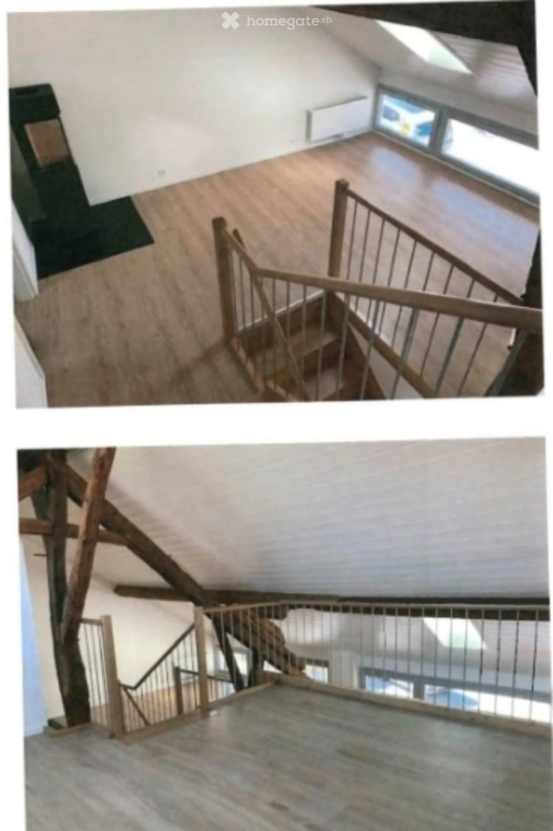 REPRISE DE BAIL - Magnifique loft 3,5 pièces à Choulex (3)