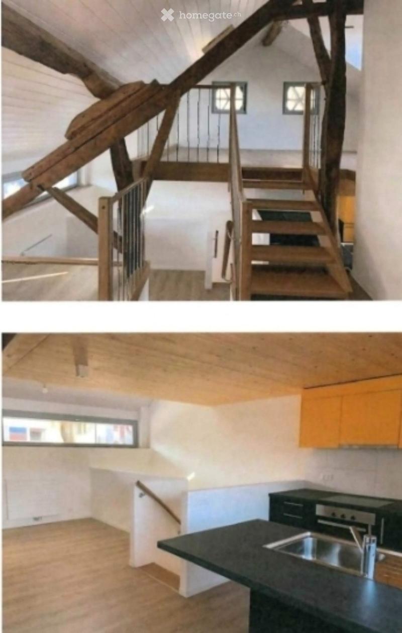 REPRISE DE BAIL - Magnifique loft 3,5 pièces à Choulex (2)