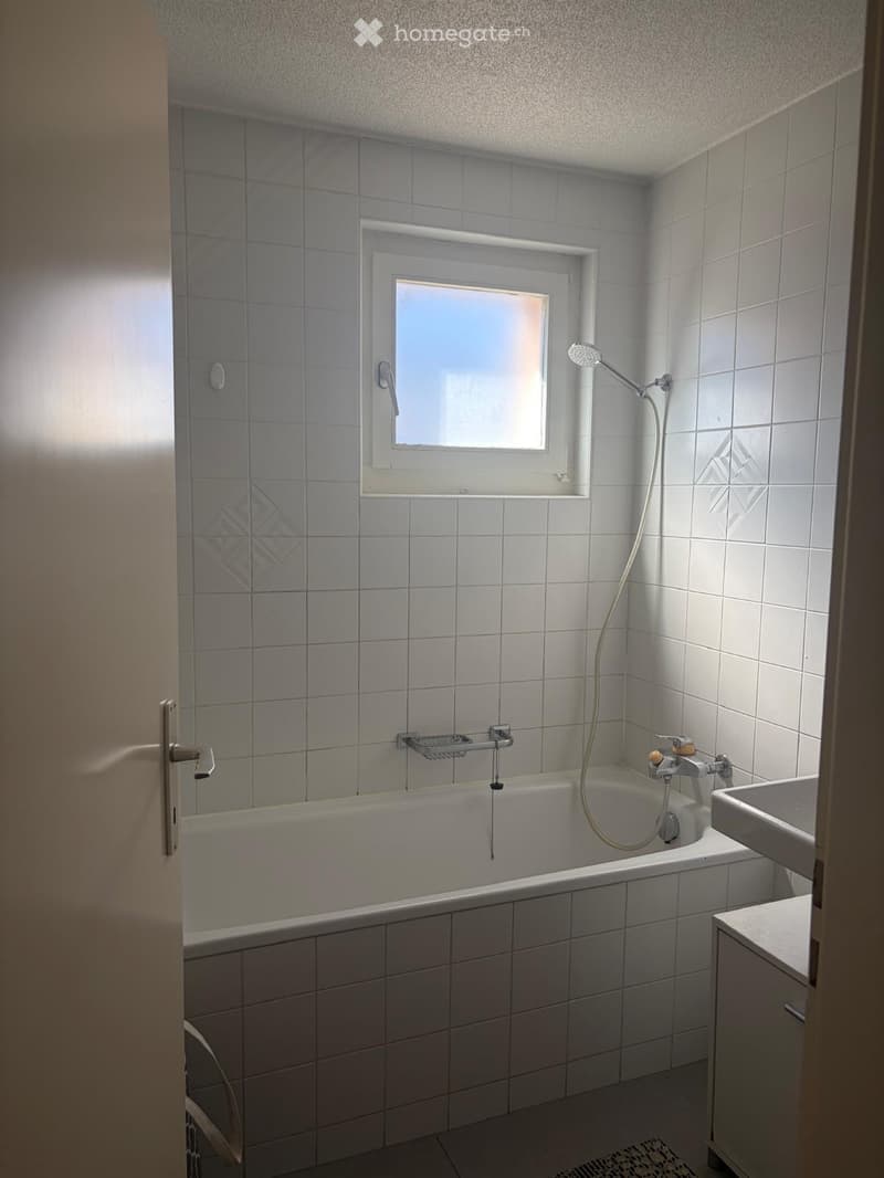 Très bel appartement 3/5 pièces à louer (3)