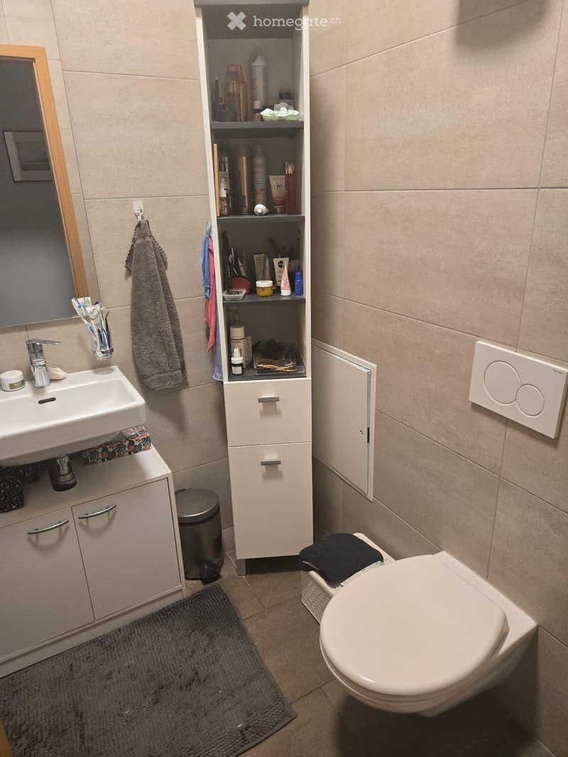 Appartement à louer, 4,5 pièces, Centre de Vevey (4)