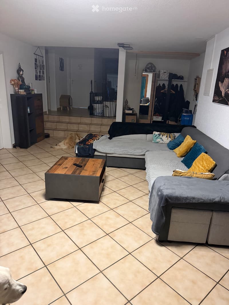 À louer magnifique appartement 3 chambres avec terrasse (5)