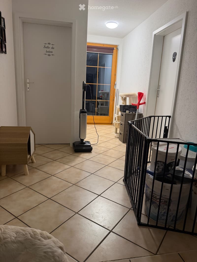 À louer magnifique appartement 3 chambres avec terrasse (2)