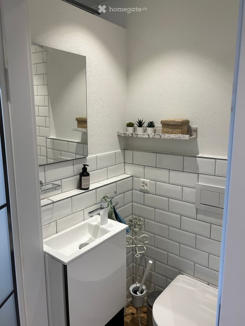 1.5 Zimmer Studio Möbliert alles dabei! Internet, TV, NK (8)