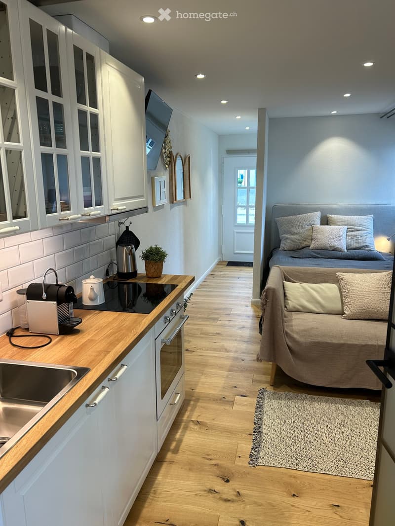 1.5 Zimmer Studio Möbliert alles dabei! Internet, TV, NK (10)