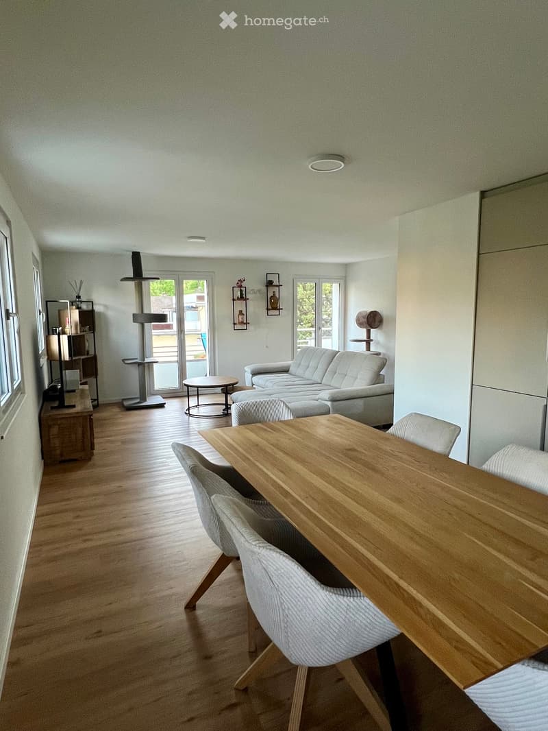 Magnifique appartement 4,5 pièces neuf (3)
