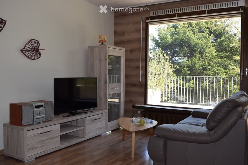 Beau studio entièrement meublé (4)