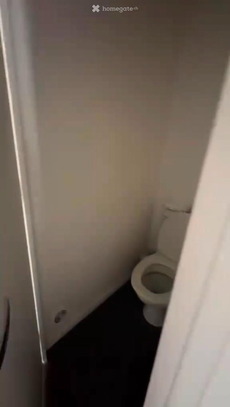 Appartement 1,5 pièce à louer sur Lausanne (3)