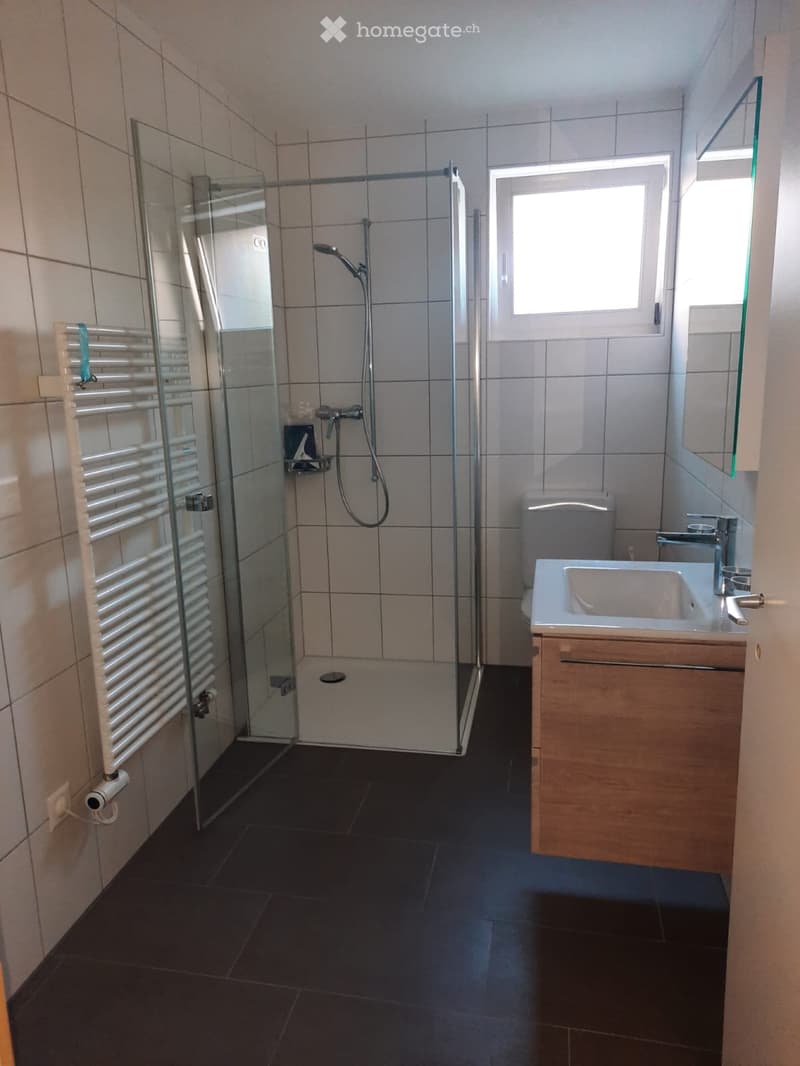Bel appartement de 2 pièces dans une maison individuelle (2)