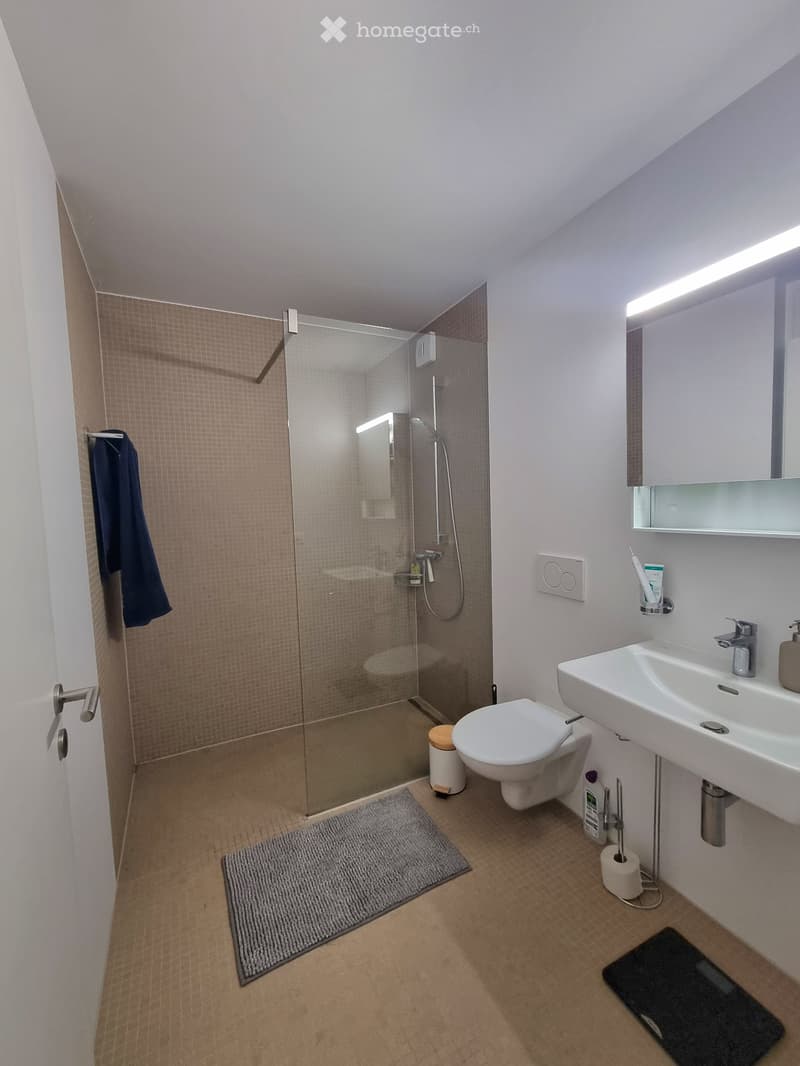 Appartement 1.5 pièce à louer à Bex (5)