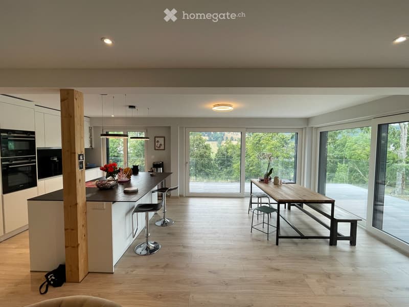 Splendide appartement de 5.5 pièces (2)