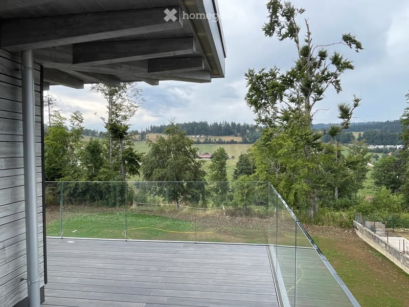 Splendide appartement de 5.5 pièces (11)