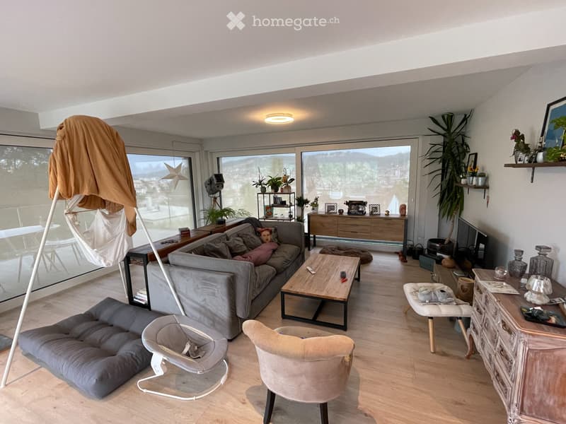 Splendide appartement de 5.5 pièces (3)