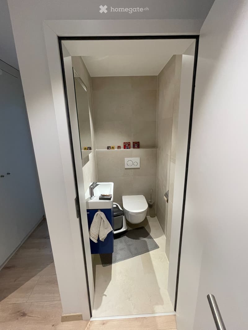 Splendide appartement de 5.5 pièces (8)