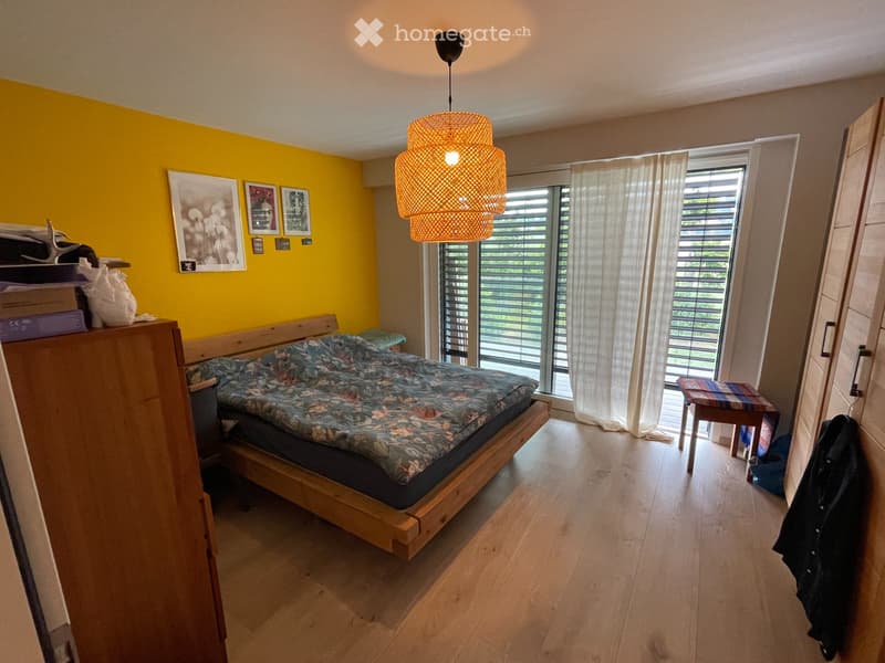 Splendide appartement de 5.5 pièces (7)