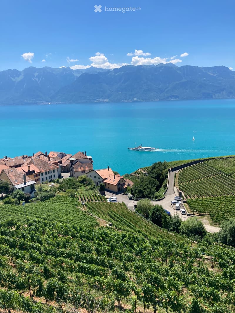 appart meublé 3,5 pièces Rivaz (Lavaux) Novembre à février (2)