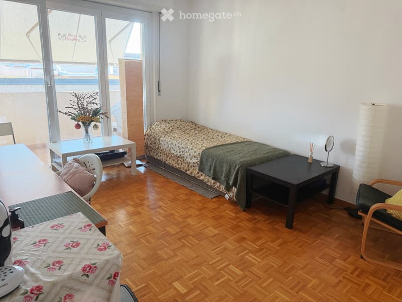 Apartment rental from 1st October, 2026 (1)