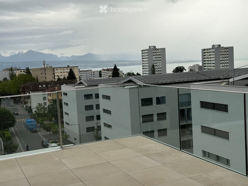 Magnifique appartement 2.5 pièces avec grande terrasse (3)