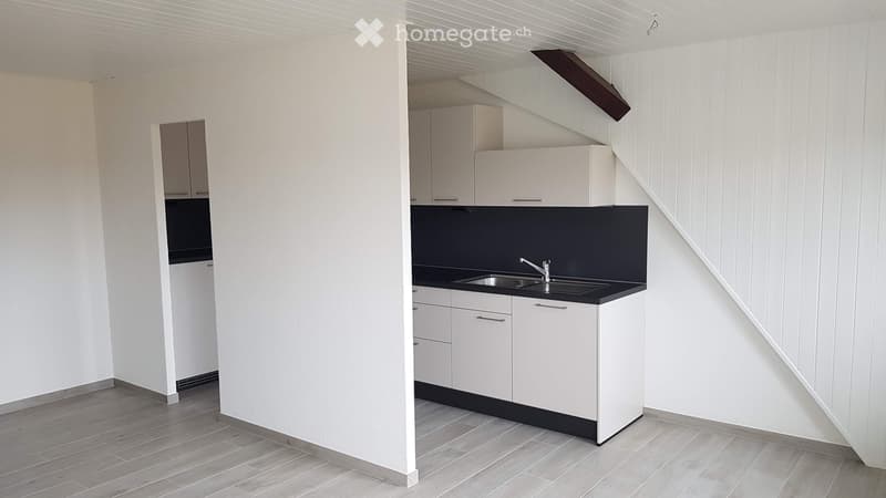 Lumineux appartement entièrement rénové (2)