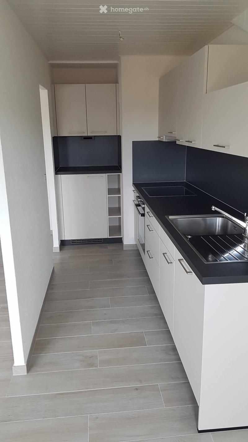 Lumineux appartement entièrement rénové (1)