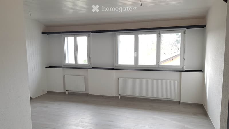 Lumineux appartement entièrement rénové (3)