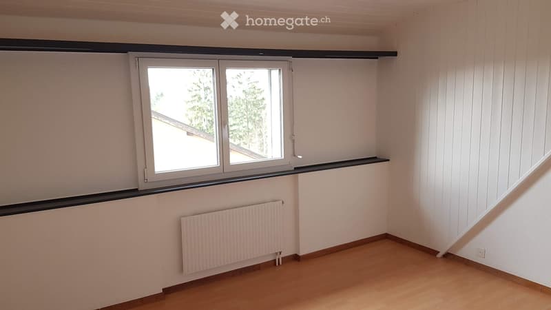 Lumineux appartement entièrement rénové (5)