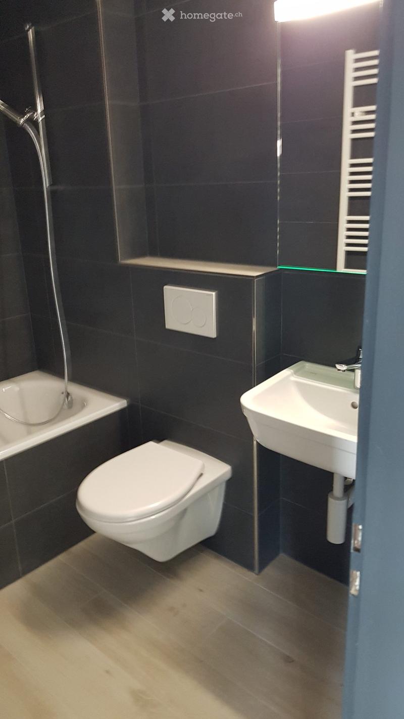 Lumineux appartement entièrement rénové (4)