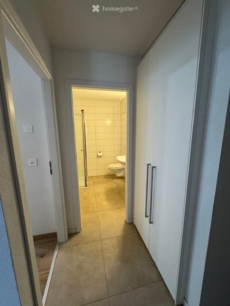 Appartement 2.5 pièces au rez-de-chaussée Veytaux (6)